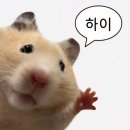 💍 W 17. 비아신세계 강남 허니문 컨시어지ㅣ독일,스페인,포르투,리스본ㅣ상담 후기 &amp; 계약 진행 과정