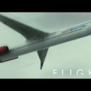 플라이트(FLIGHT)