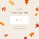 엠마에스테틱