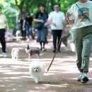 행복한결혼정보센터 이미지