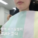 (버스)평택여중사거리 | 평택 퍼스널컬러 여름 쿨톤 진단 대만족 후기 피타코디