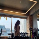 팔층피티