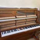 두드림음악학원 이미지