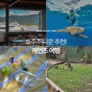 주식회사 챔버스 | 케언즈 여행에서 뭐하지? 신혼여행 추천 계절 가볼만한 곳, 액티비티, 맛집, 카페까지!