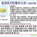 일양플러스팜