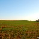 녹색목장 이미지