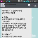 도도아이래쉬