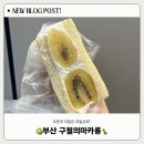 구월의 집 | 부산 경성대부경대 디저트 맛집 “ 구월의 마카롱 ” - 과일 산도, 두바이 쫀득 쿠키 솔직 후기