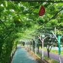 남천강변로 이미지