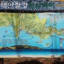 솔의향기 이미지