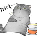 강씨네곱창 이미지