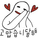 늘봄펫살롱 이미지