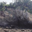 장고도둘레길 이미지