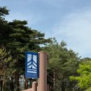 342 | 이번 주말 강릉 어때? 따뜻했던 강릉캠핑장 '342camp' 후기