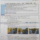 여주-0108 이미지