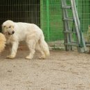 렉시호텔 이미지