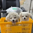 예산1호국밥집
