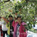 동산리농산물