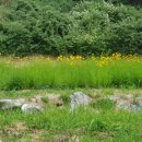 한화행정사 사무소 이미지