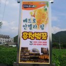 안젤라농장 이미지