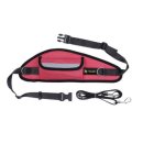 프로애견 이미지