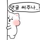 슈블리펫살롱 이미지