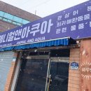 애니멀앤아쿠아