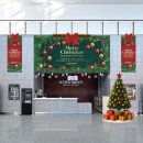 속초시문화회관 | [공간연출] 미리 메리 크리스마스! 🎄 속초문화예술회관 연말 로비 스타일링 &amp; 트리 설치 후기