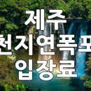 제주소요 이미지
