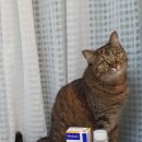 버박코리아(주) 이미지