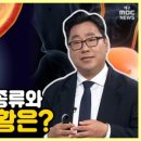 내몸N약손 이미지