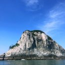 복생도 Daum카페