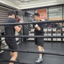 용인대SM복싱클럽 길동점 이미지