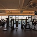 파리스짐 이미지