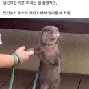 만리궁 이미지