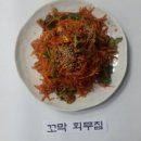 순흥애꽃 이미지