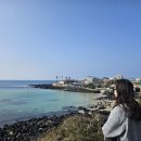 25. 3월 생일기념 제주도 여행 (한라렌트카, 해비치리조트 스위트주니어룸, 위호텔 스탠다드룸)