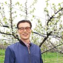 별이&체리 이미지