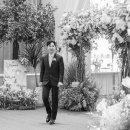 다르미앙 이미지