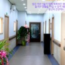 해피하우스M