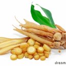 와이투짐 도래울점 이미지