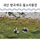 계곡&풍경 | 대전 근교 충북 괴산 쌍곡계곡 물소리풍경 8인 평상 대여 후기