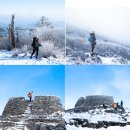 제74차 정기산행 공지 &#34; 태백산 ＆ 시산제 &#34; 산행 이미지