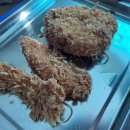 돈키오돈가스&함박 이미지