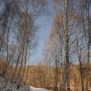 미숭산자연휴양림 이미지