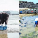 만돌어촌체험휴양마을 이미지