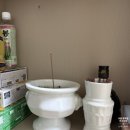 신당인덕1로 | 갓 신내림 받은 애동기자 신점 후기 | 언서신당