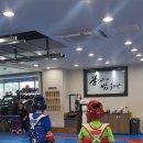 용인대 참샘 태권도 네이버블로그