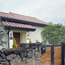 스테이장유7 이미지