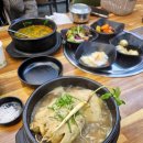 상황버섯 향촌 이미지